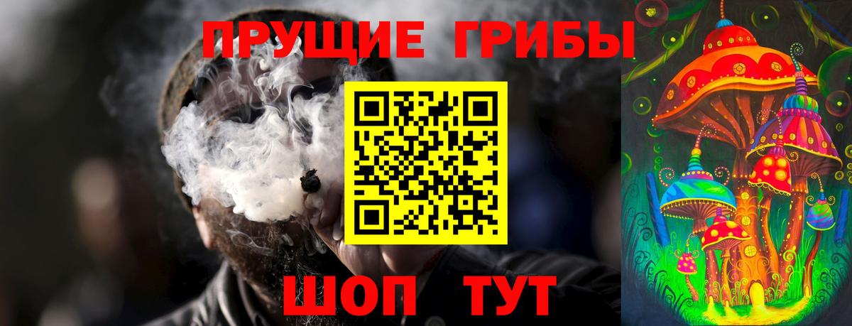 Псилоцибиновые грибы мицелий Владивосток